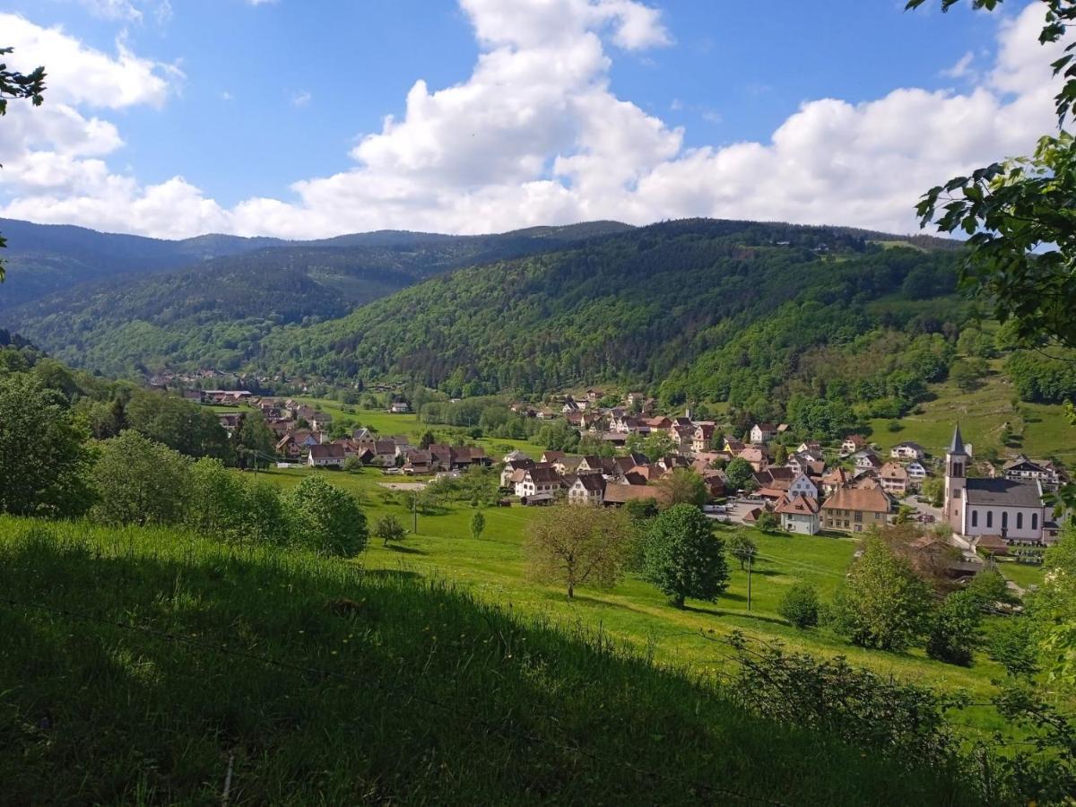 Le Gite Des Kritter Stosswihr المظهر الخارجي الصورة